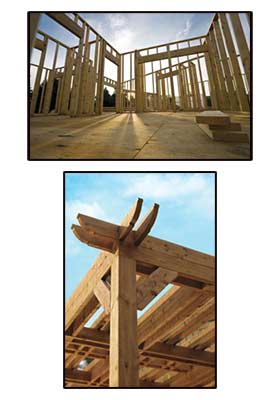 Lumber Products Sample Image