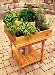 Herb Planter Spring DIY